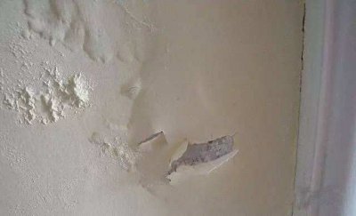 硅藻泥和乳膠漆哪個(gè)好？看一下便知道
