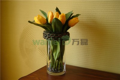 有了硅藻泥，新房入住不再等！