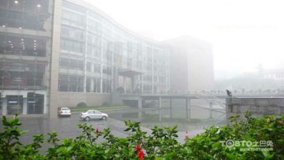 驚蟄過，春雨至，硅藻泥讓你告別濕轆轆